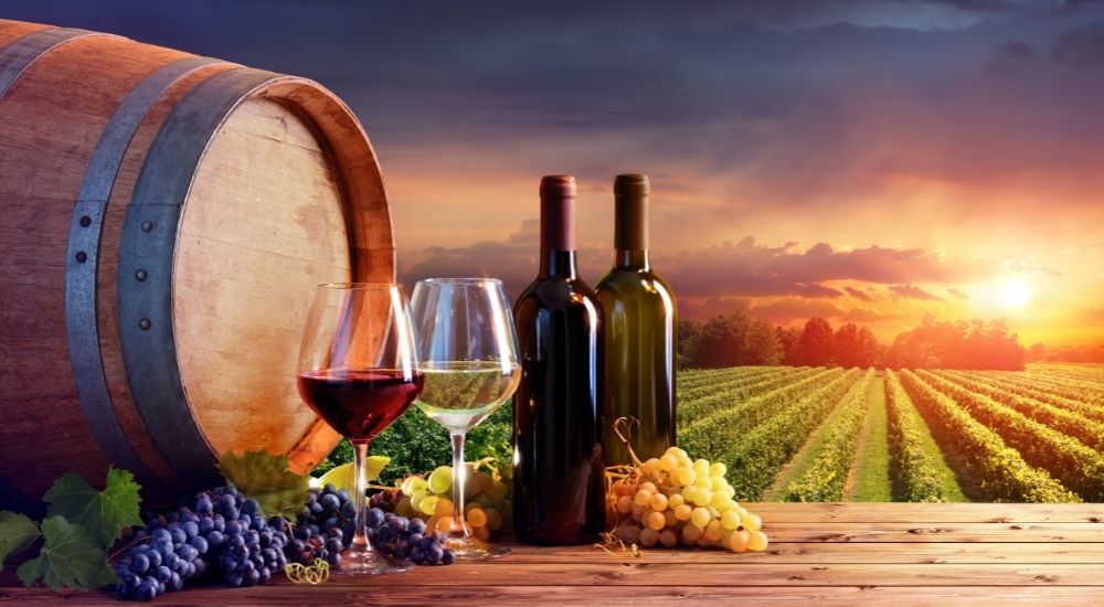 migliori strategie di marketing per promuovere il vino